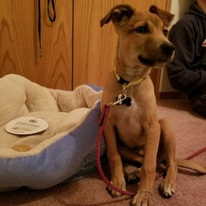 Meet your Posher, Tanya